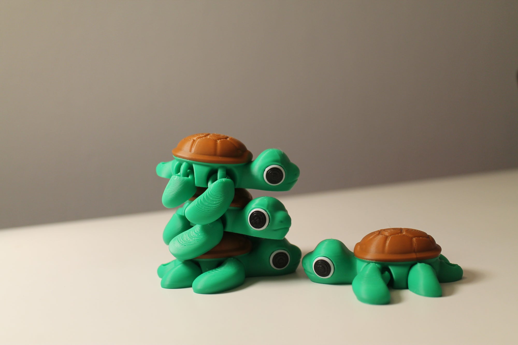 Turtle