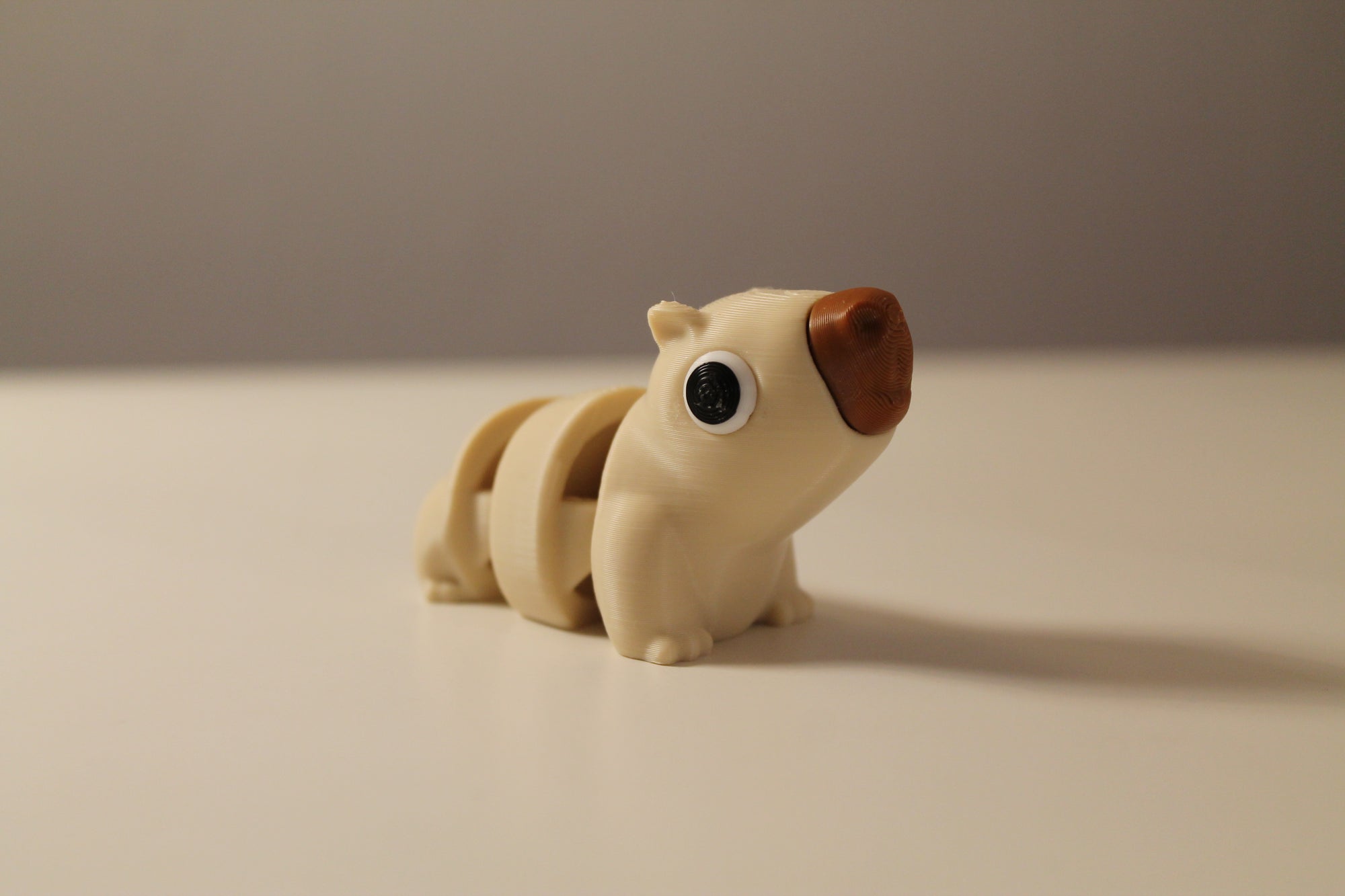 Capibara