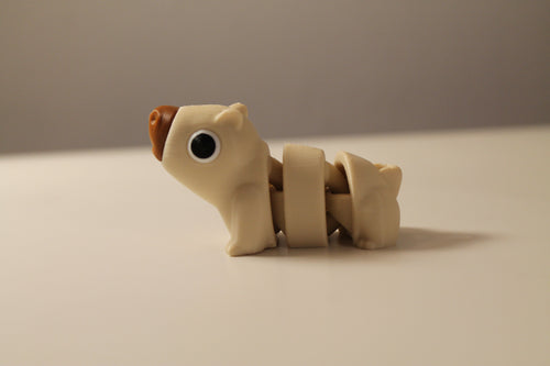 Capibara