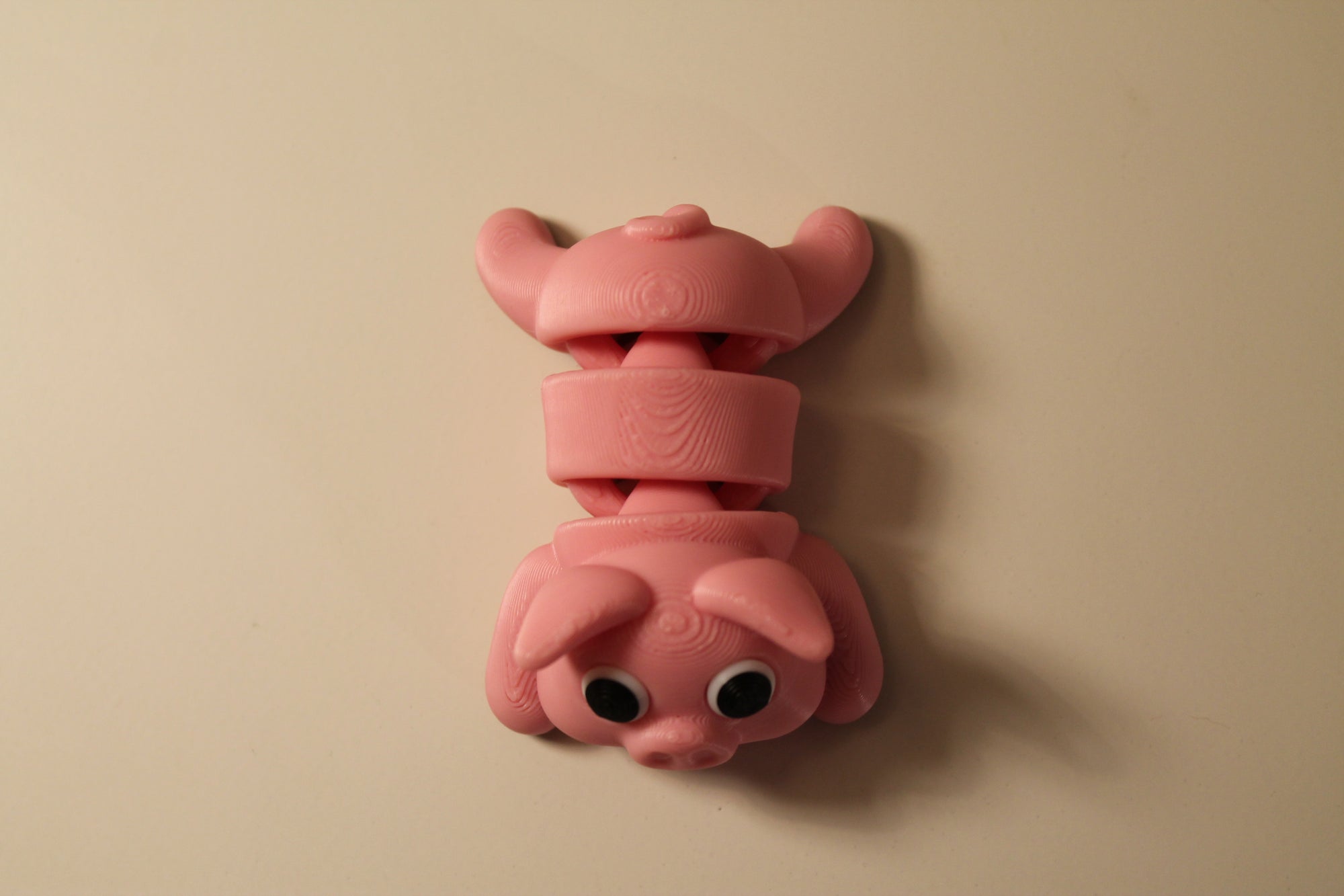 Pig
