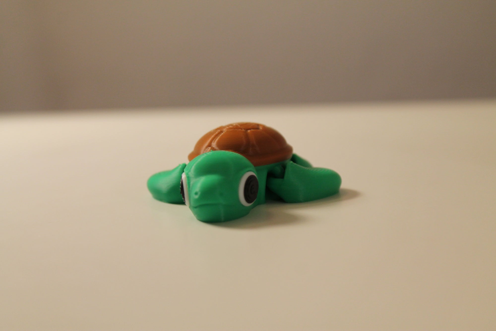 Turtle