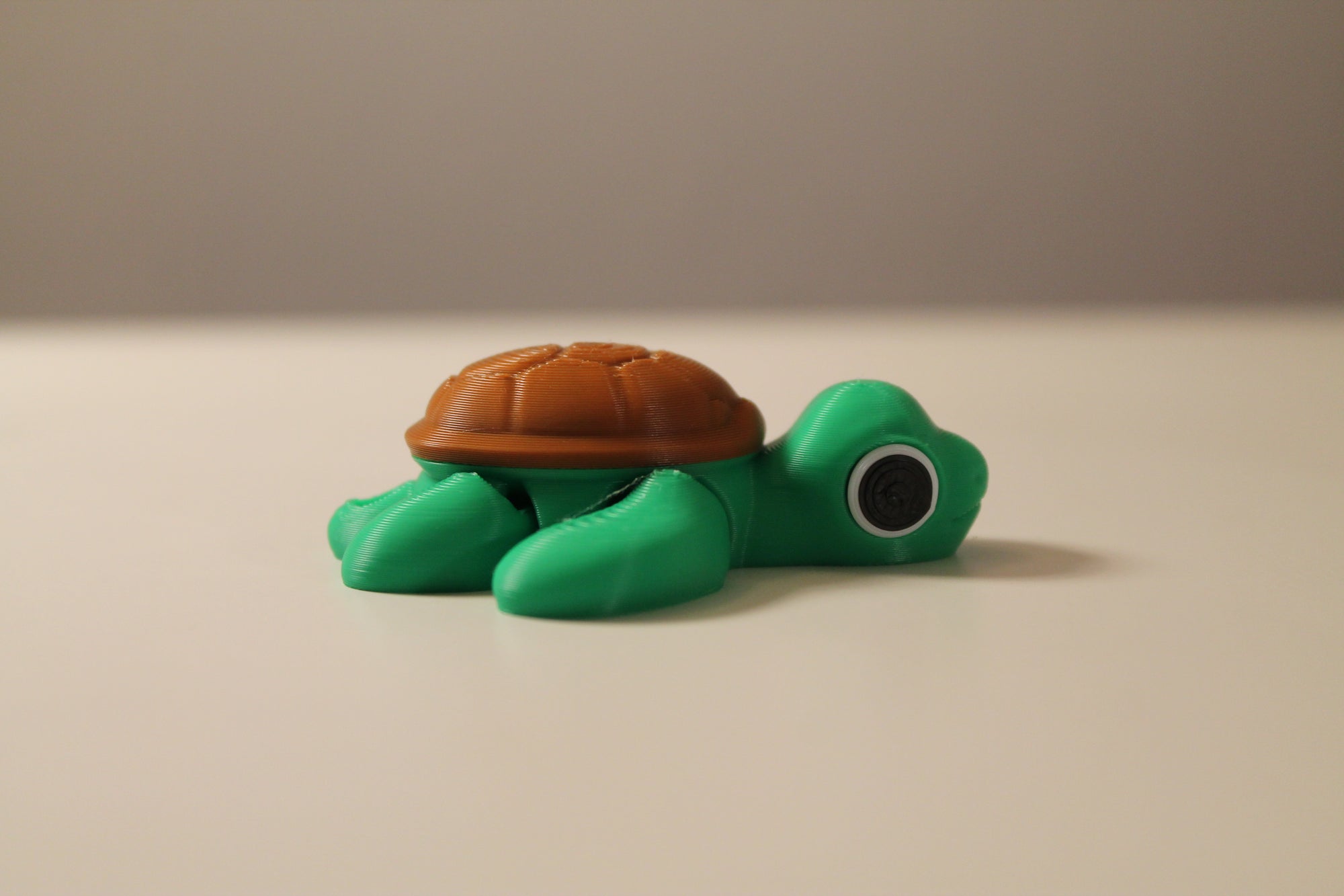 Turtle