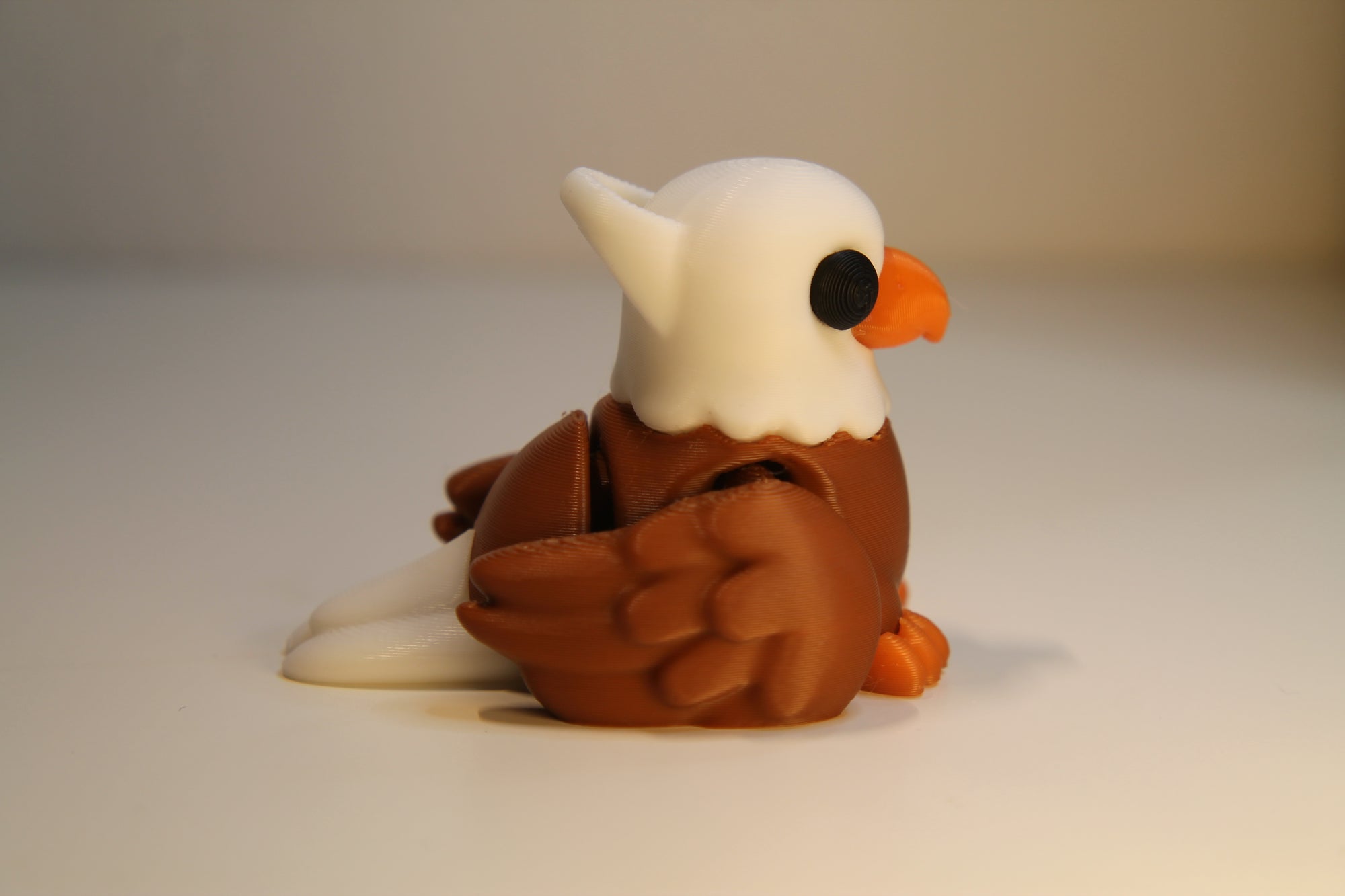 Hawk